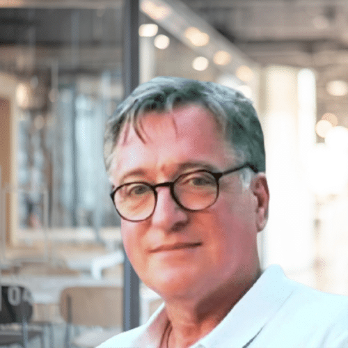 Frédéric MOINEREAU Consultant en stratégie et transformation digitale Sogestea